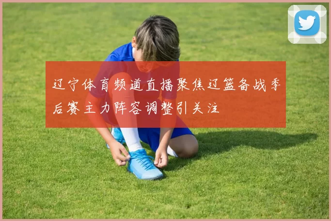 辽宁体育频道直播聚焦辽篮备战季后赛主力阵容调整引关注