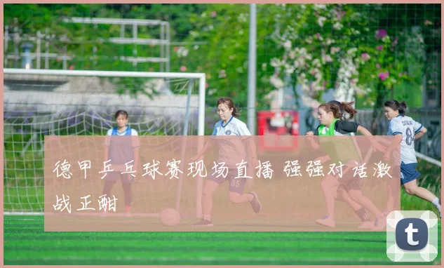 德甲乒乓球赛现场直播 强强对话激战正酣