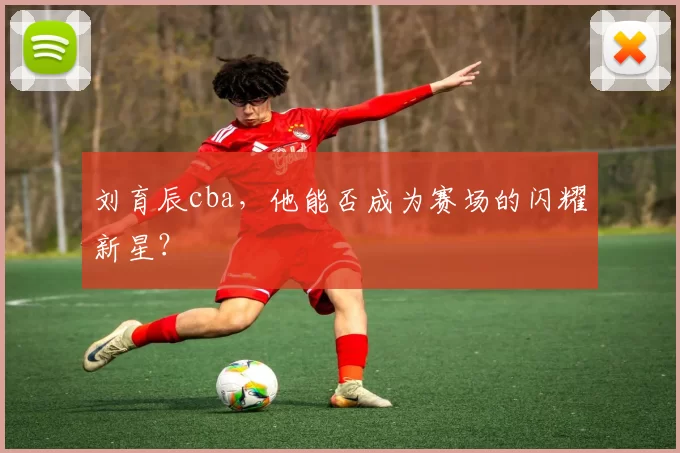 刘育辰cba,他能否成为赛场的闪耀新星?